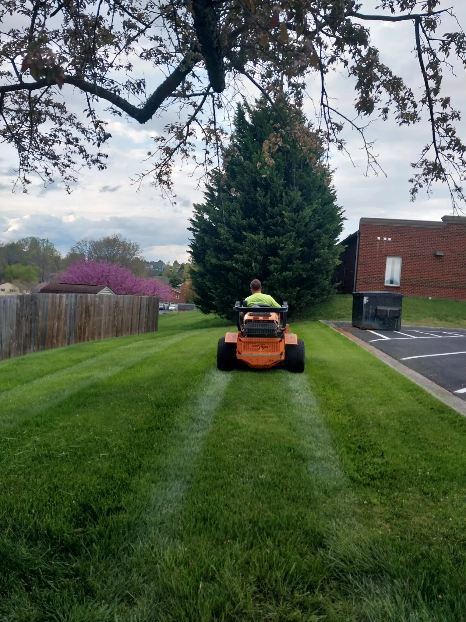 Lawn Mowing & Edging