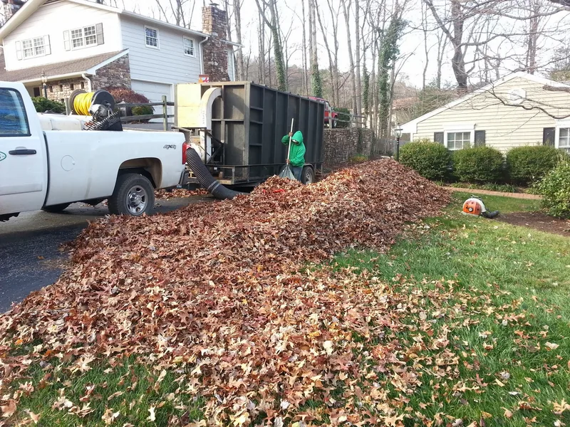 Seasonal Cleanup