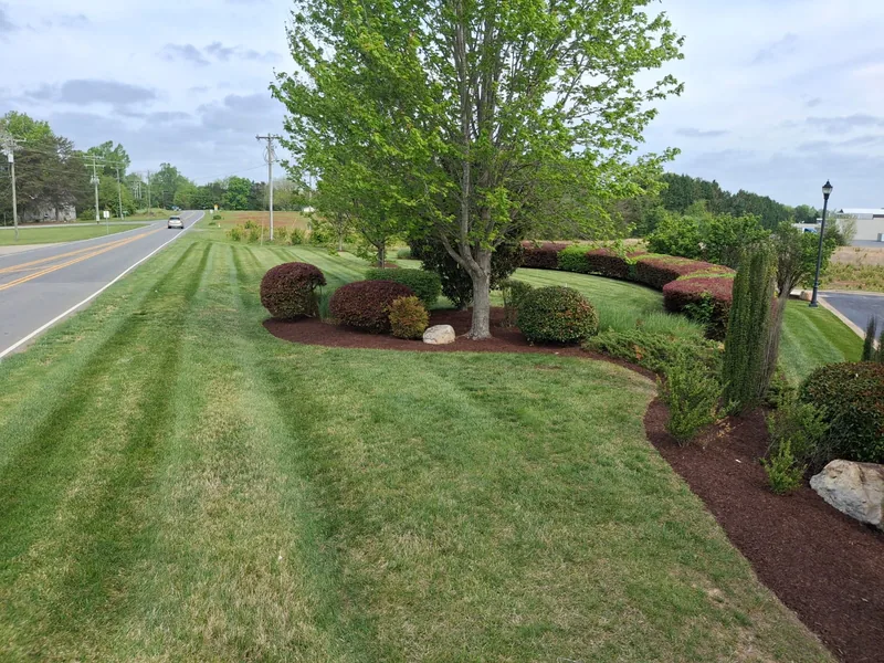 Hedge & Shrub Trimming